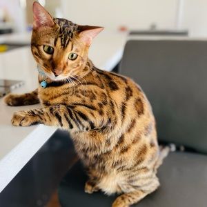 Meet your Posher, Julie